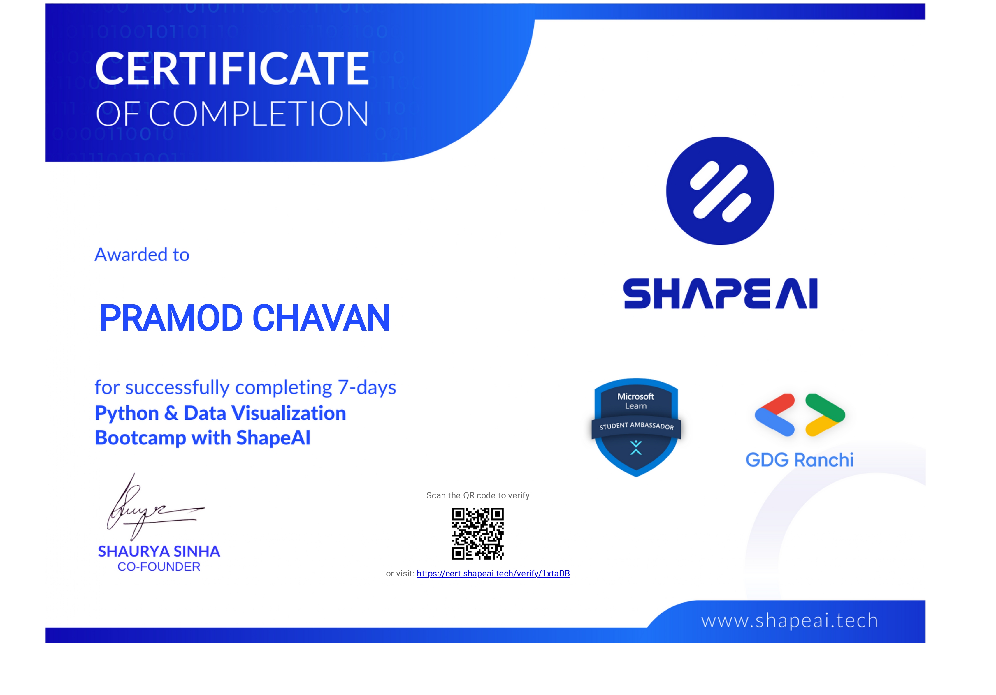 Python & Data Visualization Bootcamp — ShapeAI